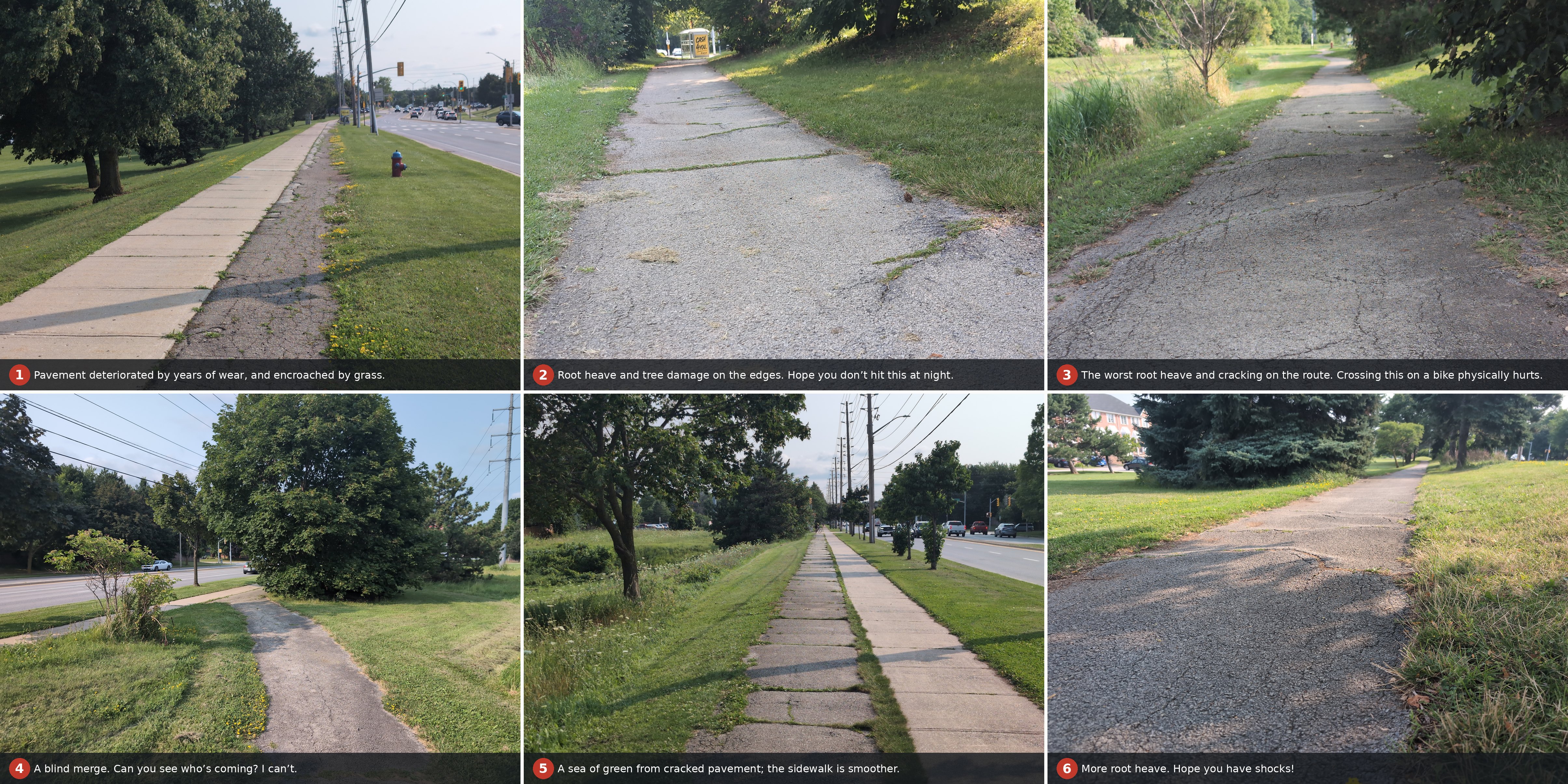 Six photographs of the Upper Middle Road path, arranged three across and two down, west to east: pavement worn and encroached by grass; root heave and tree damage along the edges; severe root heave and cracking across the full width; a blind merge with no sightline; cracked pavement threaded with grass beside a smoother sidewalk; and further root heave.